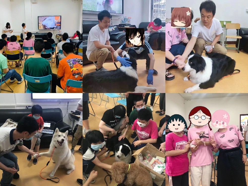 宠物行为心理学课程PART1