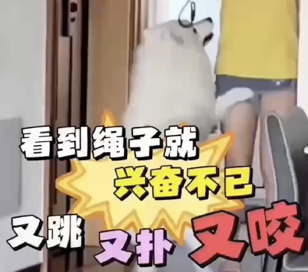 如何出门前正确套绳