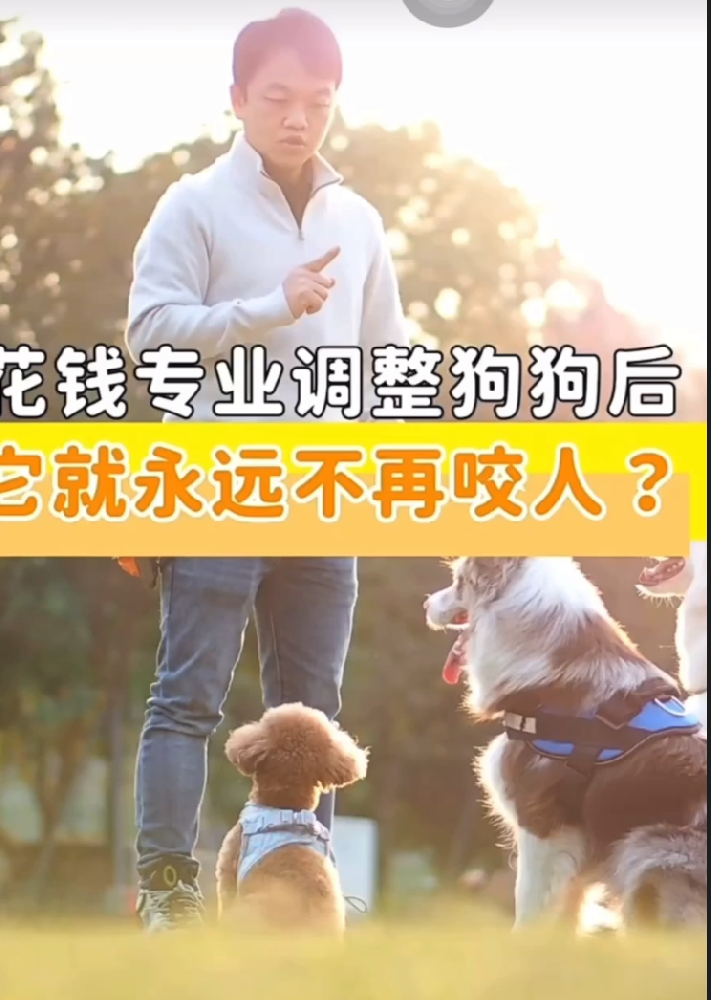 花钱专业调整狗狗后，它就永远不再咬人？